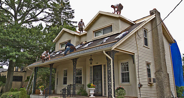 Best Flat Roof Repair Services  in Berne, IN